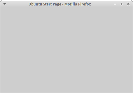 Abb. Firefox 40 zeigt nur ein graues Fenster ohne Inhalte an