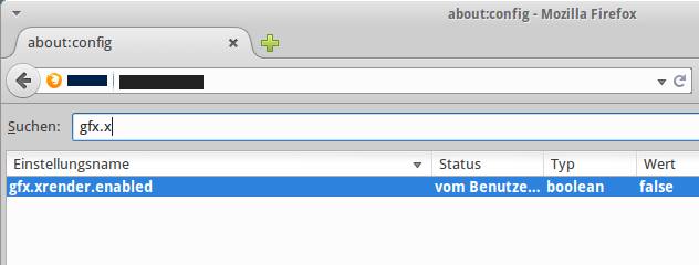 Abb. Firefox-Konfigurationsseite, gefiltert